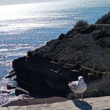 Appartamento Au Cap ! Agde Esterno foto